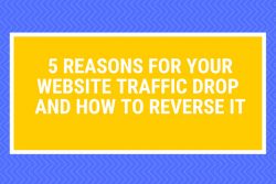 reasons website traffic drop