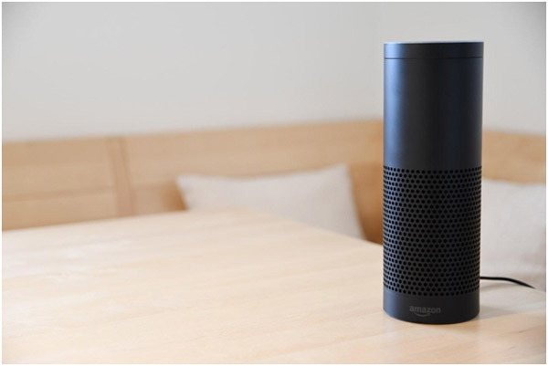 small business voice search