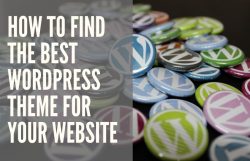 how to find perfect WordPress theme