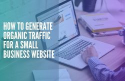 small business website organic traffic tips