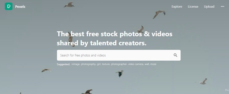 pexels free photos