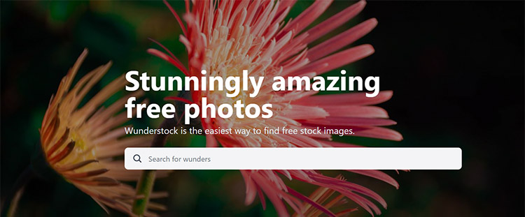 wonderstock photos
