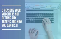 tips for growing organic traffic