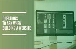 ask web developer questions